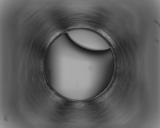 X0000092021329200709061322