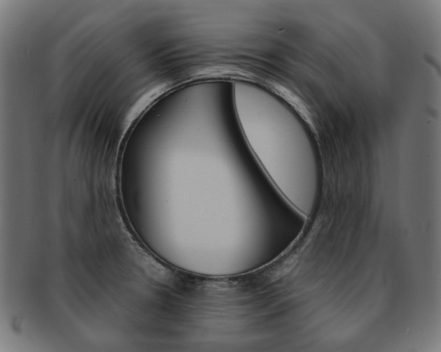X0000092021330200709061322