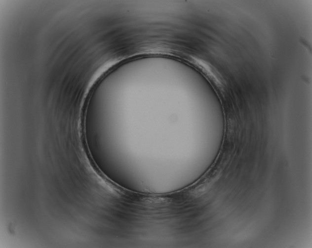X0000092021331200709061322
