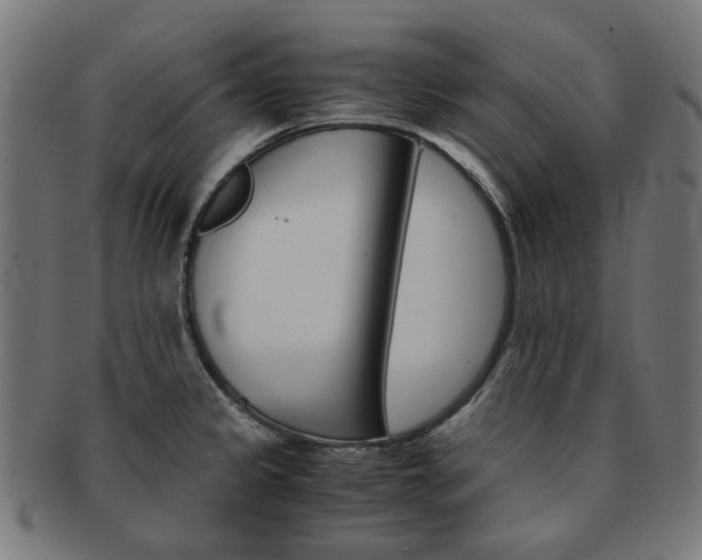 X0000092021333200709061322