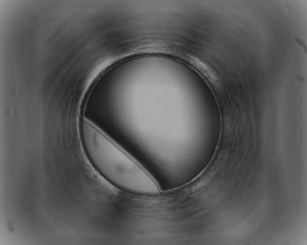 X0000092021334200709061322