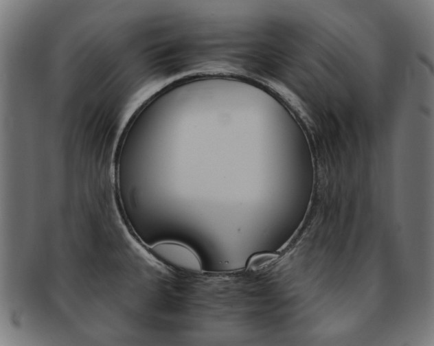 X0000092021335200709061322