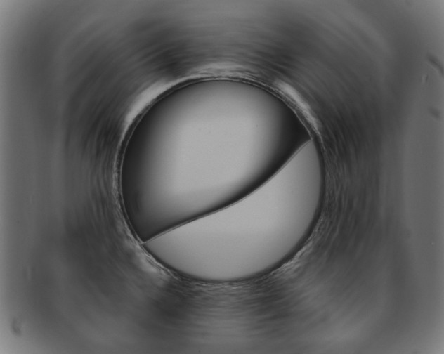 X0000092021336200709061322