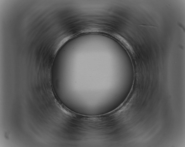 X0000092021337200709061322