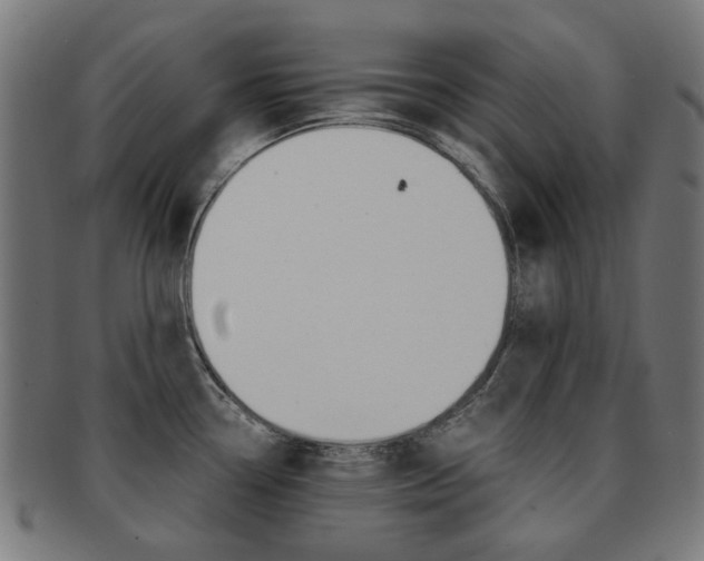X0000092021338200709061322