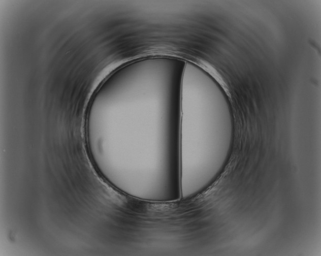 X0000092021339200709061322