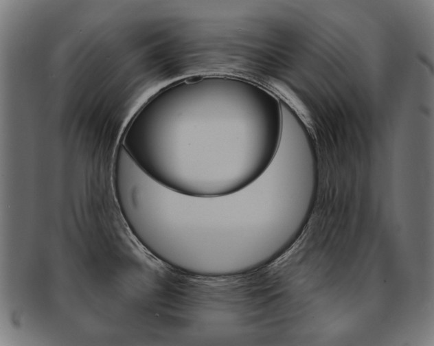 X0000092021340200709061322