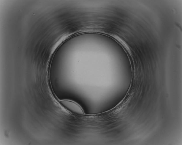 X0000092021341200709061322