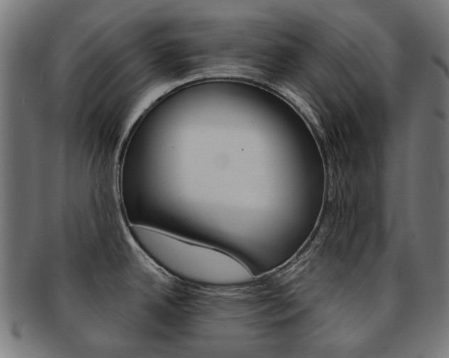 X0000092021342200709061322