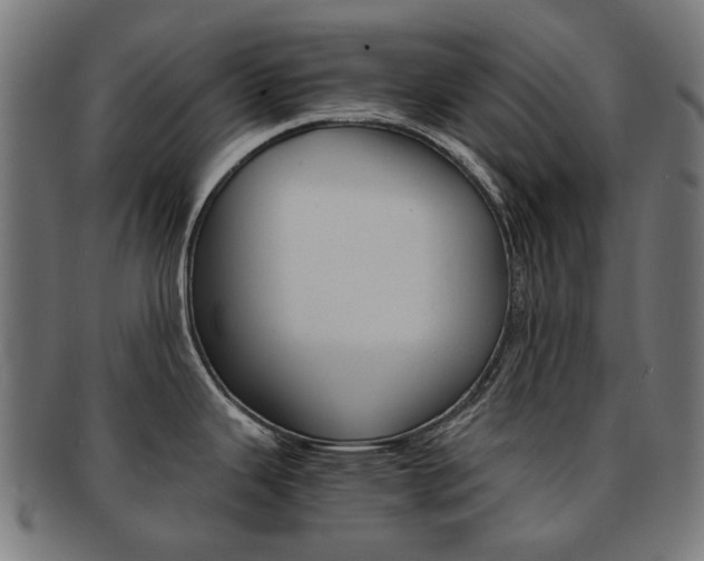 X0000092021343200709061322