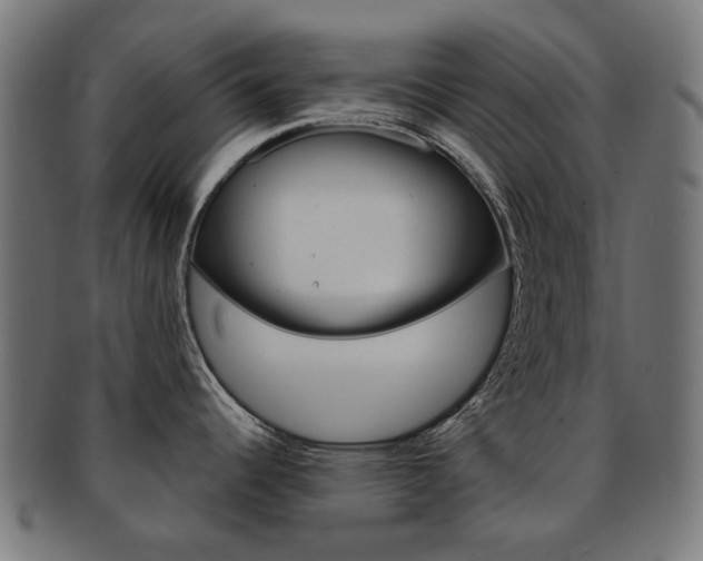 X0000092021344200709061322
