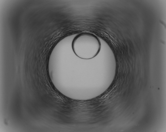 X0000092021345200709061321