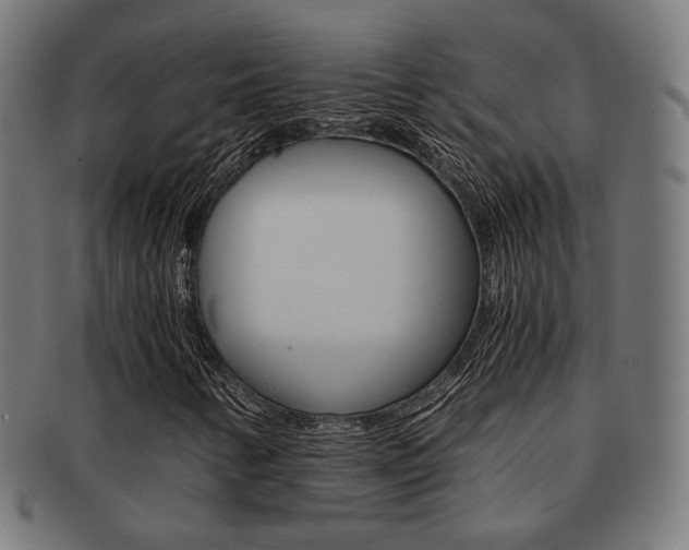 X0000092021346200709061321