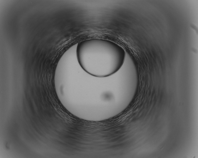 X0000092021348200709061321