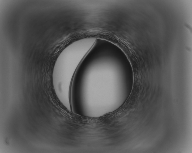 X0000092021349200709061321