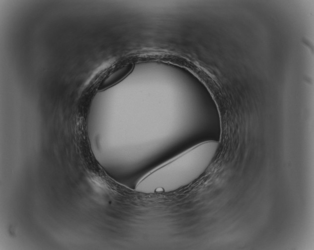 X0000092021351200709061321