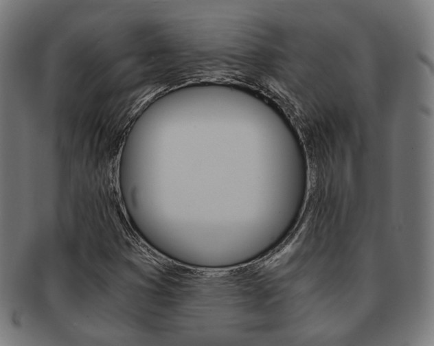 X0000092021353200709061321