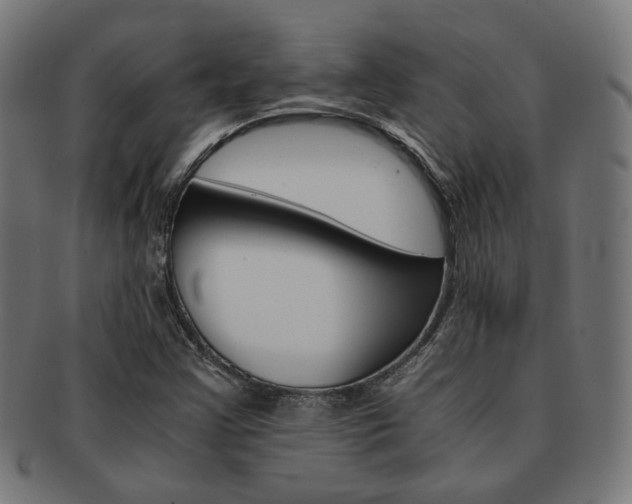 X0000092021355200709061321