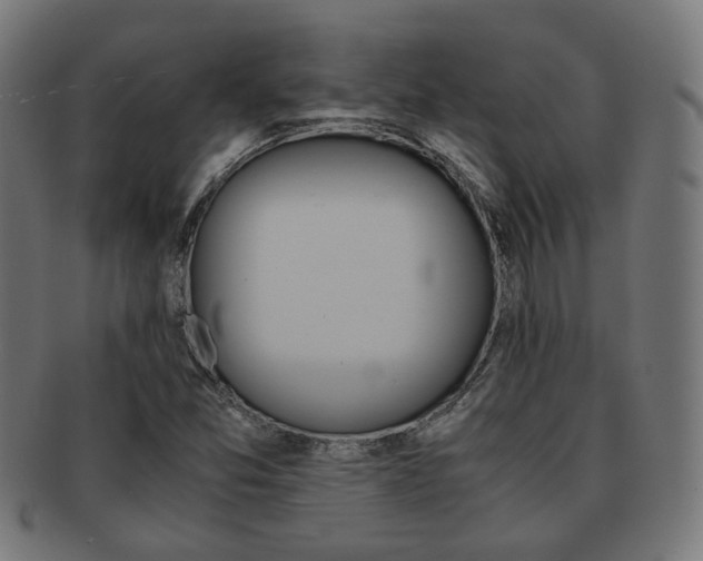 X0000092021357200709061321