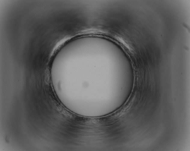 X0000092021358200709061321