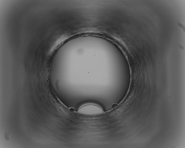 X0000092021359200709061321