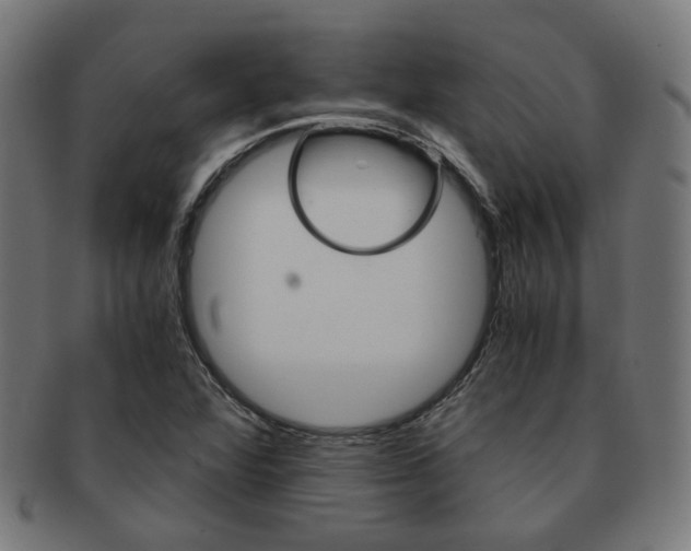 X0000092021360200709061321