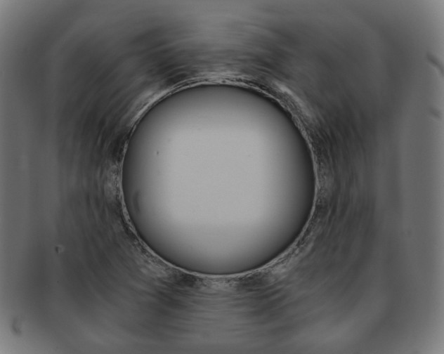 X0000092021361200709061321