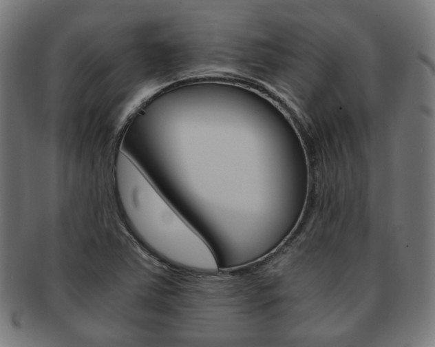 X0000092021363200709061321