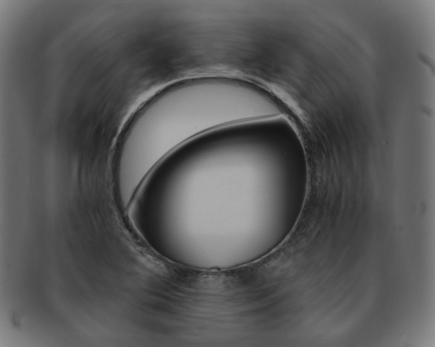 X0000092021364200709061321
