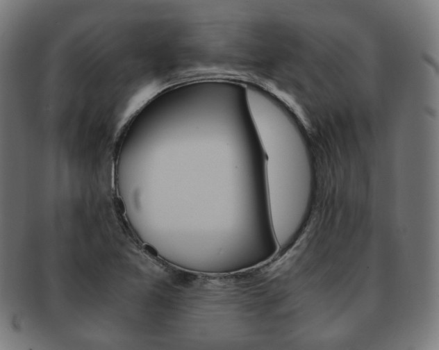 X0000092021365200709061321