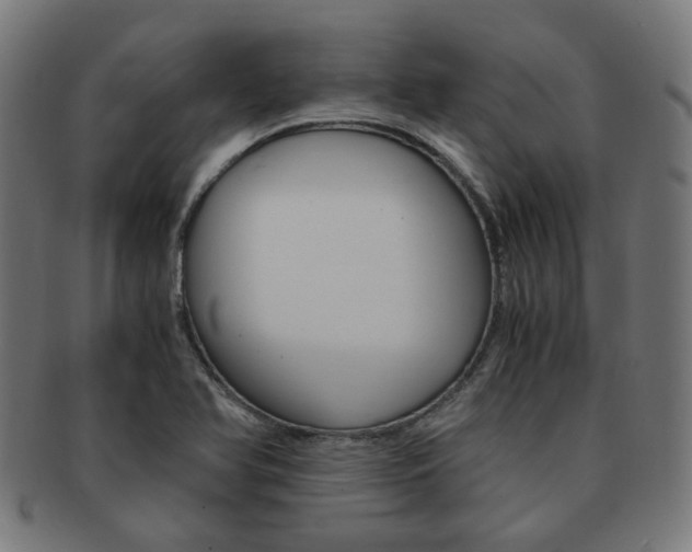 X0000092021366200709061321