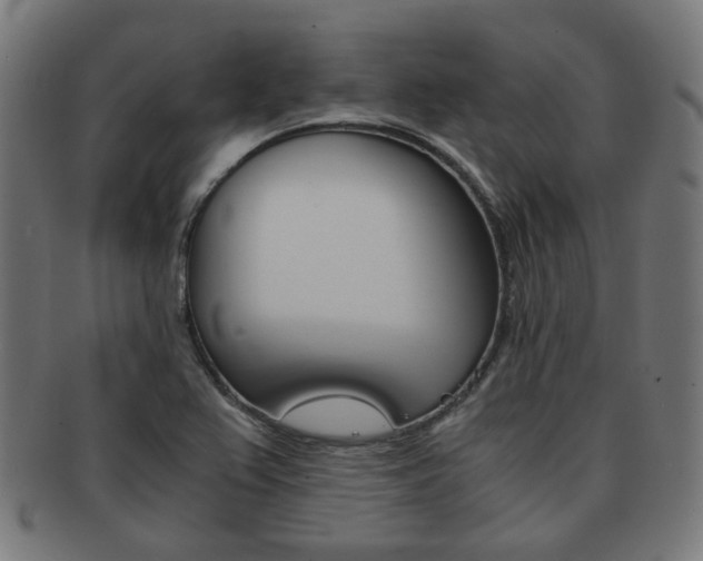 X0000092021367200709061321