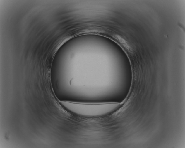 X0000092021369200709061321