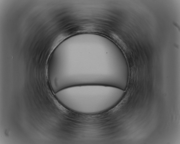 X0000092021370200709061321