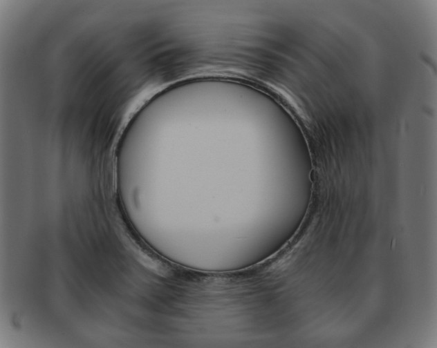 X0000092021371200709061321