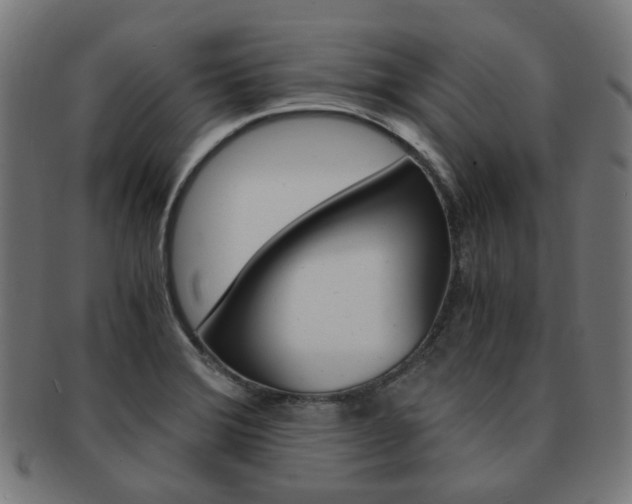 X0000092021372200709061321