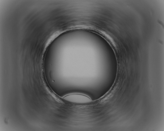 X0000092021373200709061321