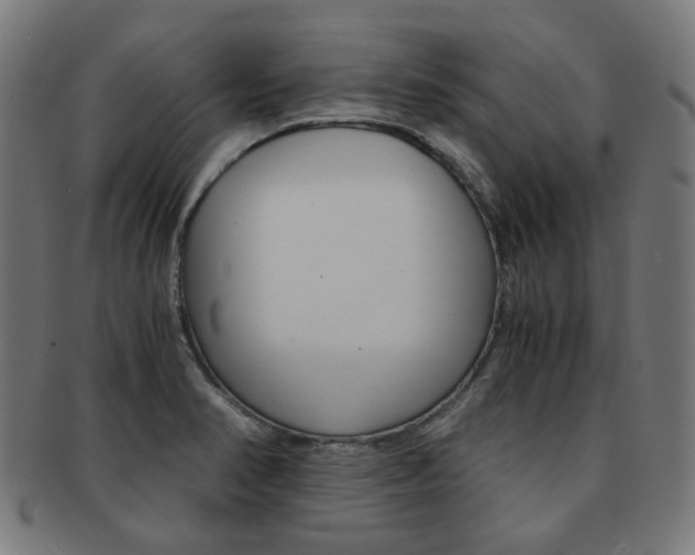 X0000092021374200709061321