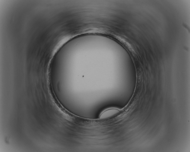 X0000092021375200709061321