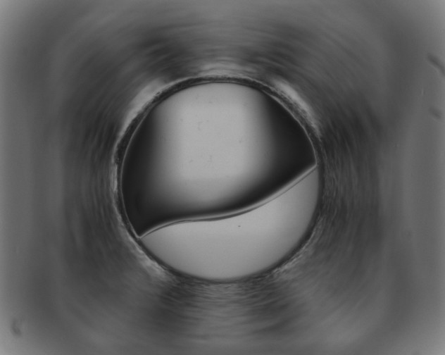 X0000092021376200709061321