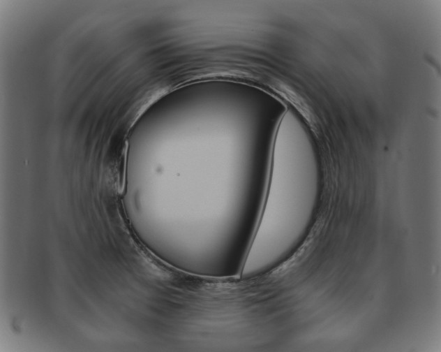 X0000092021377200709061321