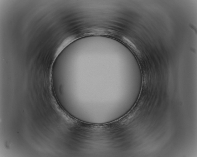 X0000092021378200709061321