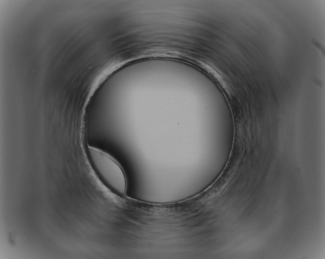 X0000092021379200709061321