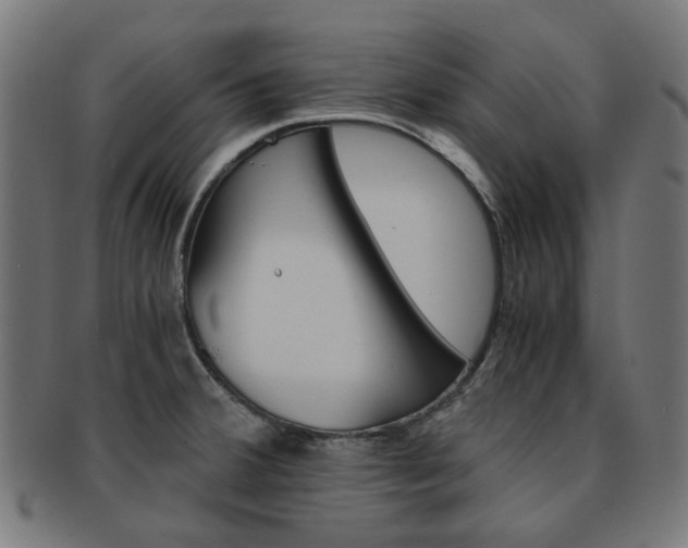X0000092021380200709061321