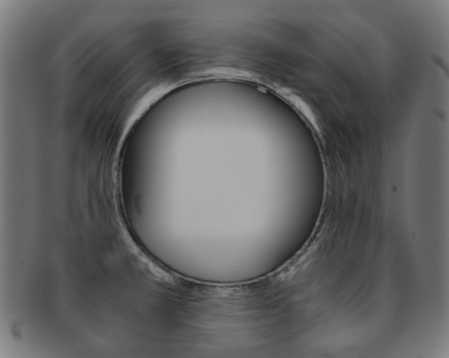 X0000092021381200709061321