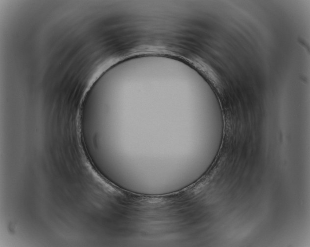X0000092021382200709061321