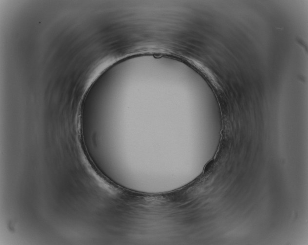 X0000092021383200709061321