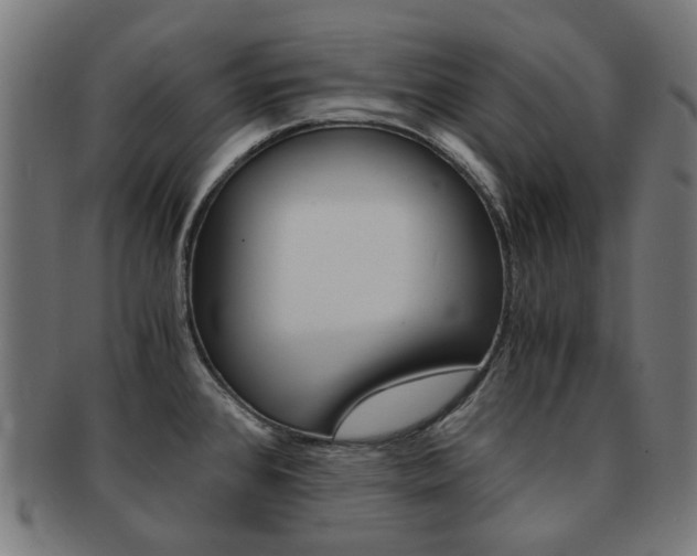 X0000092021384200709061321