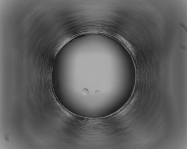 X0000092021385200709061321