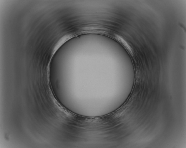 X0000092021386200709061321